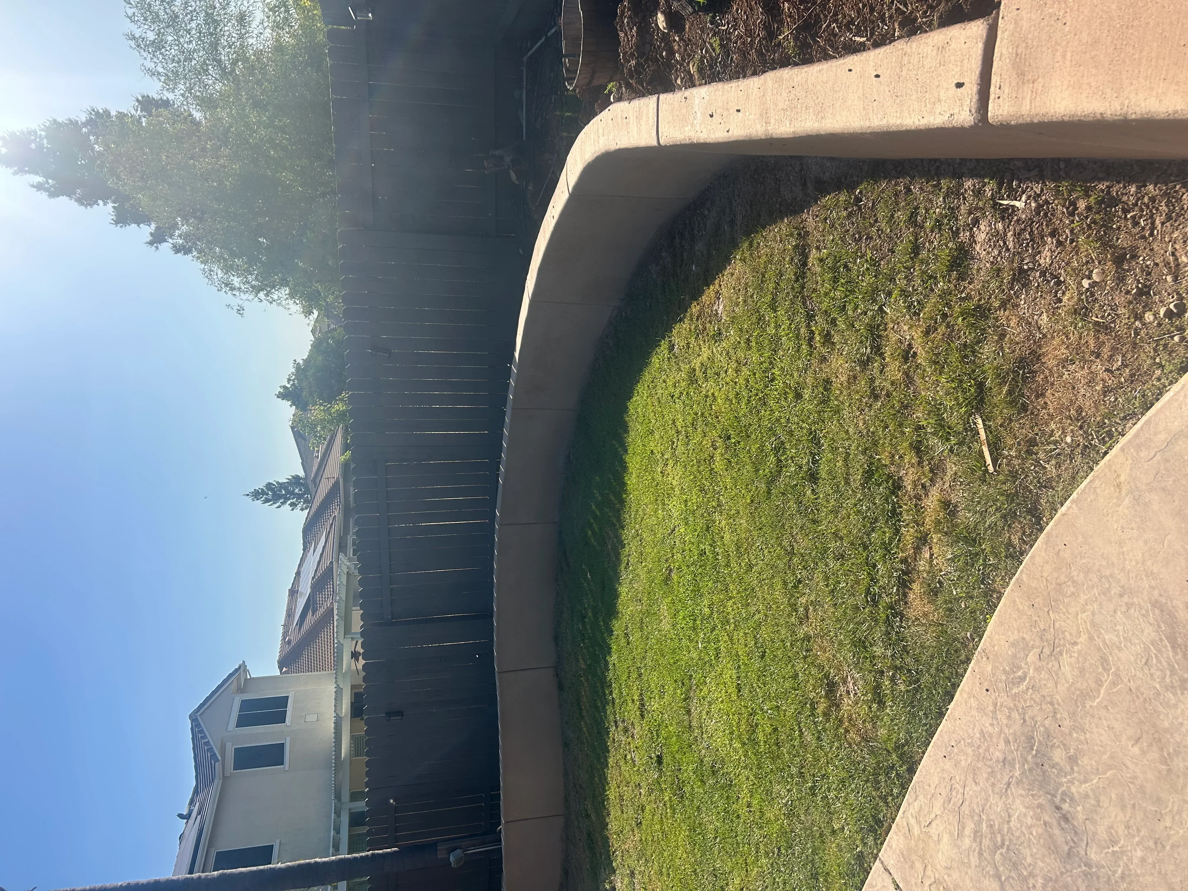Newly installed concrete driveway with curved concrete curb edging on residential property